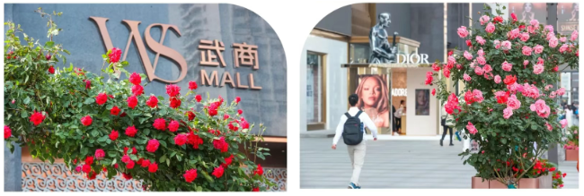 yp街机·电子游戏(中国)官方网站