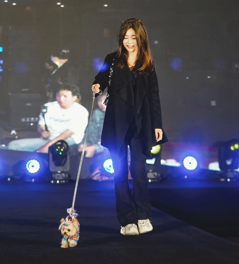 yp街机·电子游戏(中国)官方网站