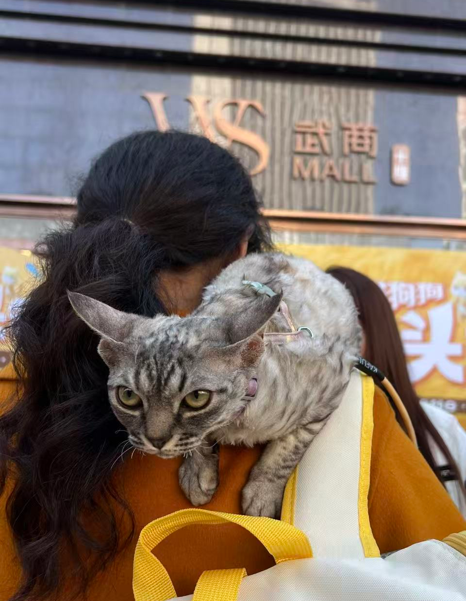 yp街机·电子游戏(中国)官方网站